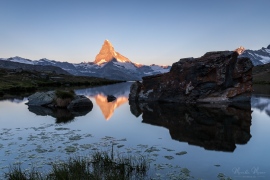 5D4_7527-LR