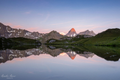 Wallis_2019 Wallis_2019