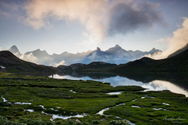 Wallis_2019_6