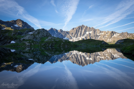Wallis_2019_4