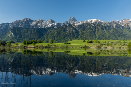 Berner Oberland_5