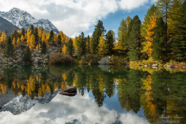 Engadin_9