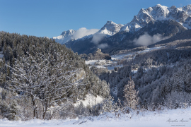 Tarasp