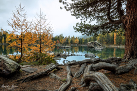 Engadin_2019_7