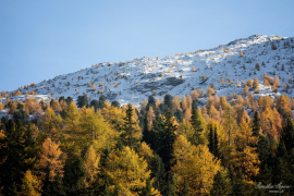 Engadin_2019_3