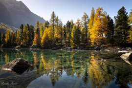 Engadin_2019_4