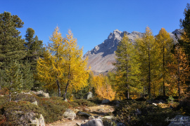 Engadin_2019_9