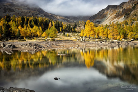 Engadin_2019_6