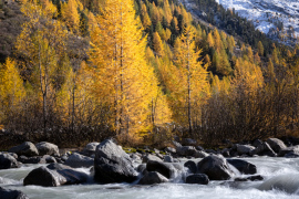 Engadin_2019_10