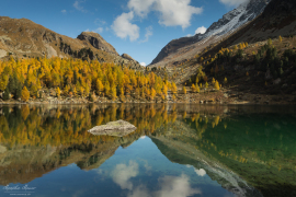Engadin_2015_2