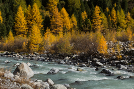 Engadin_2015_4