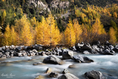 Engadin_2019_11 Engadin_2019_11