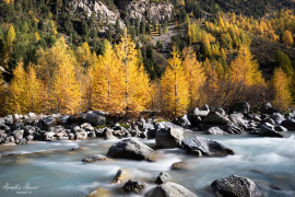 Engadin_2019_11