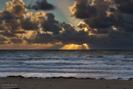 normandie16_210