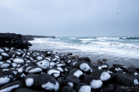 Island_2020_27
