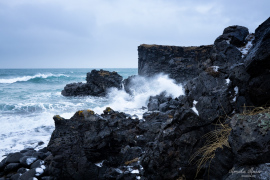 Island_2020_28