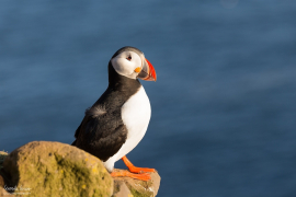 iceland_2016_125
