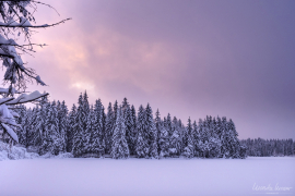 Jura_15