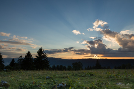 landscape_166