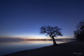Baum_18