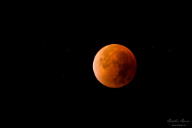 Blutmond