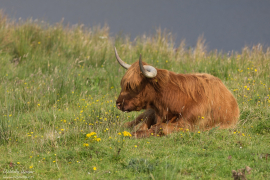 schottland_2017_213