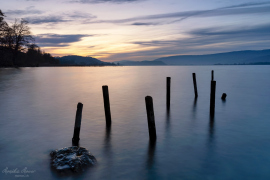 Bielersee_5