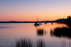 Murtensee Murtensee