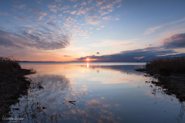 landscape_105