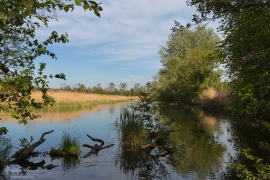 landscape_131