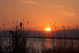 landscape_132a