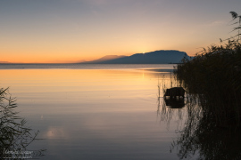 landscape_149