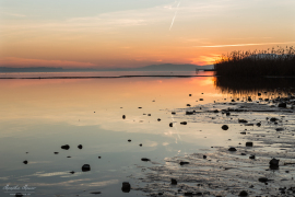 landscape_194