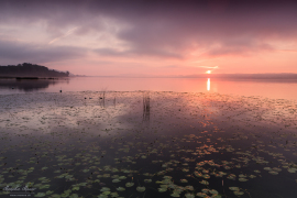 landscape_214