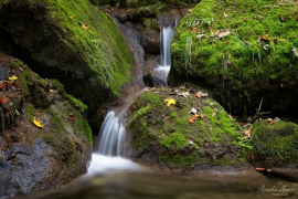 Jura Schlucht_6