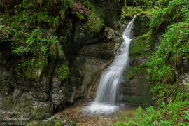 Jura Schlucht_2