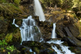 MG_7898