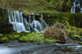 natur_200