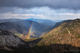 Regenbogen