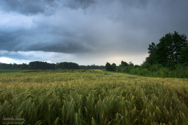 Gewitterfront