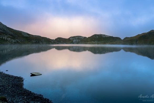 _MG_7004-PH_2
