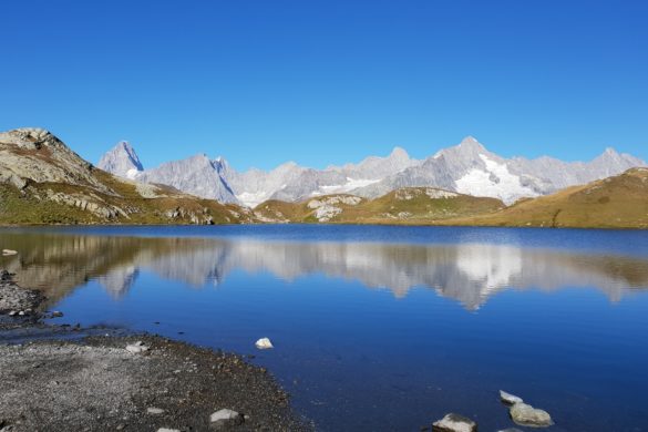 st-bernhard_009