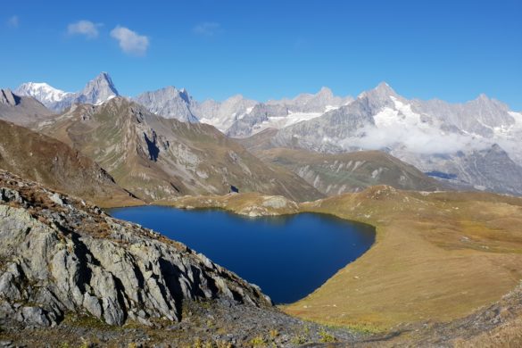 st-bernhard_011
