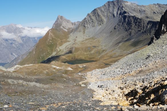 st-bernhard_012