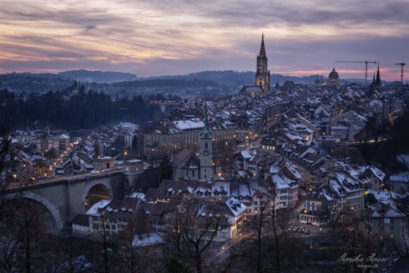 bern_299