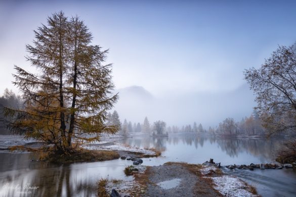 MMR_8295