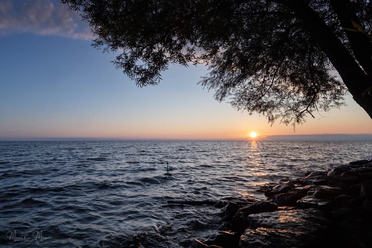 MMR_9379
